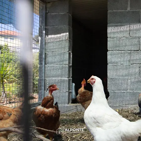 Quinta Da Costeira - Casa Azul Do Limoal By Alponte Villa *