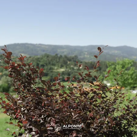 Villa Quinta Da Costeira - Casa Azul Do Limoal By Alponte *
