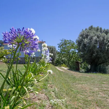 Villa Quinta Da Costeira - Casa Azul Do Limoal By Alponte