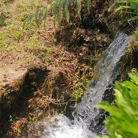 Quinta Da Costeira - Casa Azul Do Limoal By Alponte *