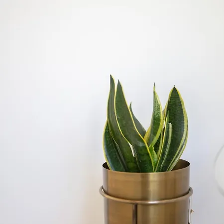 Villa Quinta Da Costeira - Casa Azul Do Limoal By Alponte