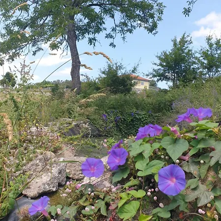 Quinta Da Costeira - Casa Azul Do Limoal By Alponte Βίλα Arcos de Valdevez