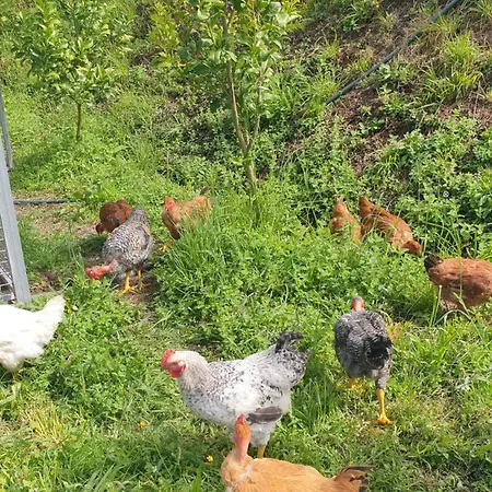 Villa Quinta Da Costeira - Casa Azul Do Limoal By Alponte Arcos de Valdevez