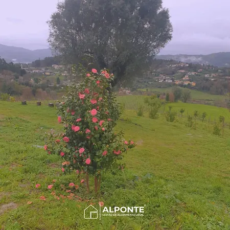 Quinta Da Costeira - Casa Azul Do Limoal By Alponte