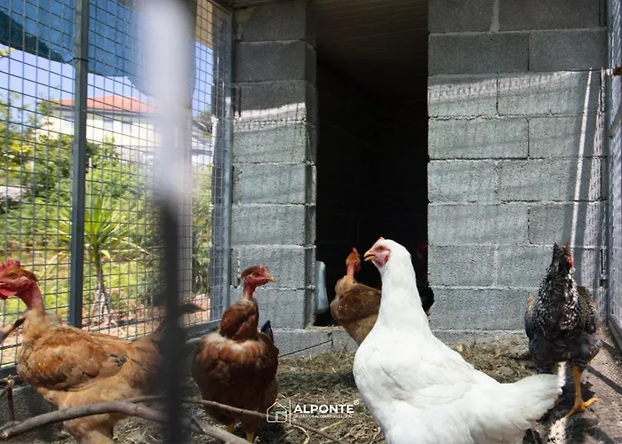 Quinta Da Costeira - Casa Azul Do Limoal By Alponte Villa *