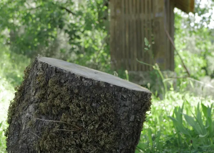 فيلة Quinta Da Costeira - Casa Azul Do Limoal By Alponte *