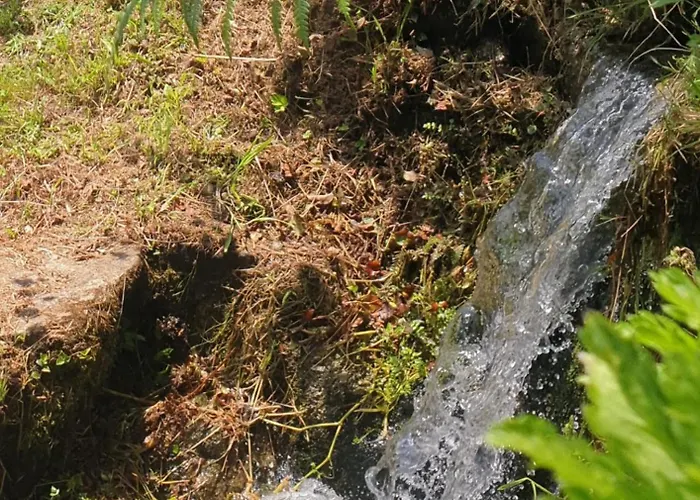 Quinta Da Costeira - Casa Azul Do Limoal By Alponte *