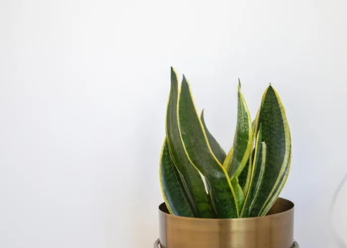 فيلة Quinta Da Costeira - Casa Azul Do Limoal By Alponte