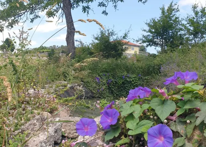 Quinta Da Costeira - Casa Azul Do Limoal By Alponte Villa Arcos de Valdevez