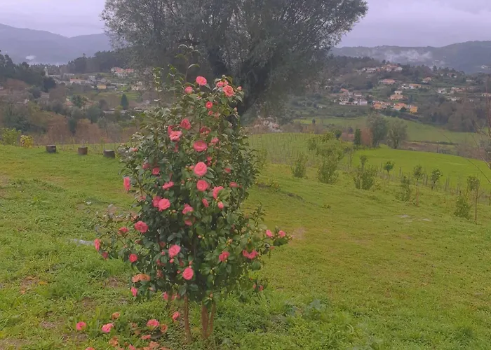 Quinta Da Costeira - Casa Azul Do Limoal By Alponte